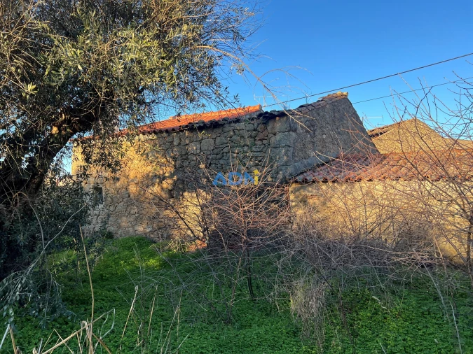 Quinta para Venda em Lardosa Foto 18