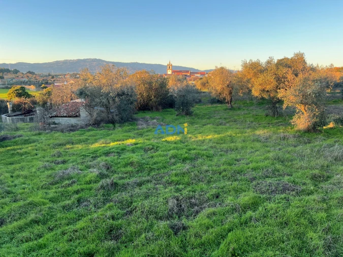 Quinta para Venda em Lardosa