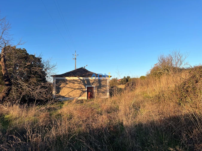 Quinta para Venda em Lardosa Foto 2