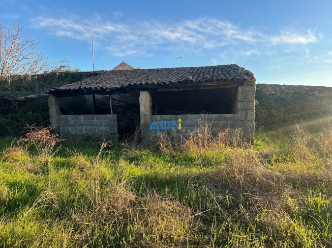 Quinta para Venda em Lardosa Foto 25