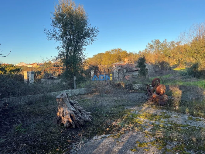 Quinta para Venda em Lardosa Foto 43