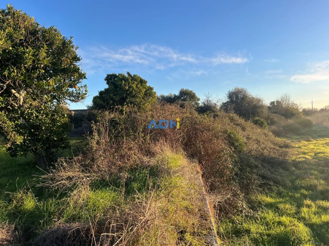 Quinta para Venda em Lardosa Foto 42