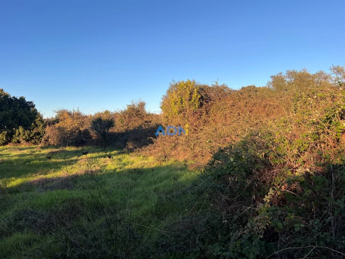 Quinta para Venda em Lardosa Foto 36