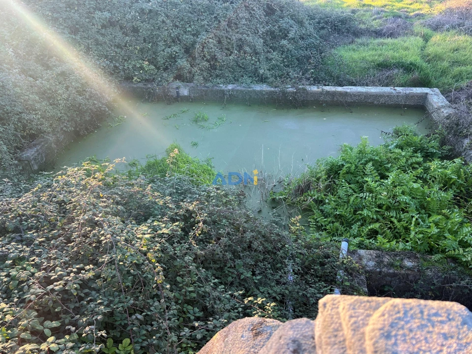 Quinta para Venda em Lardosa Foto 55