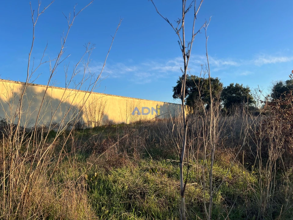 Quinta para Venda em Lardosa Foto 47