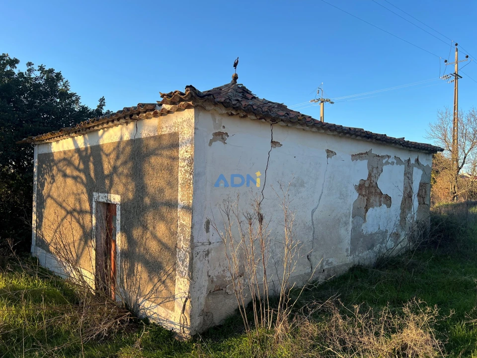 Quinta para Venda em Lardosa Foto 51