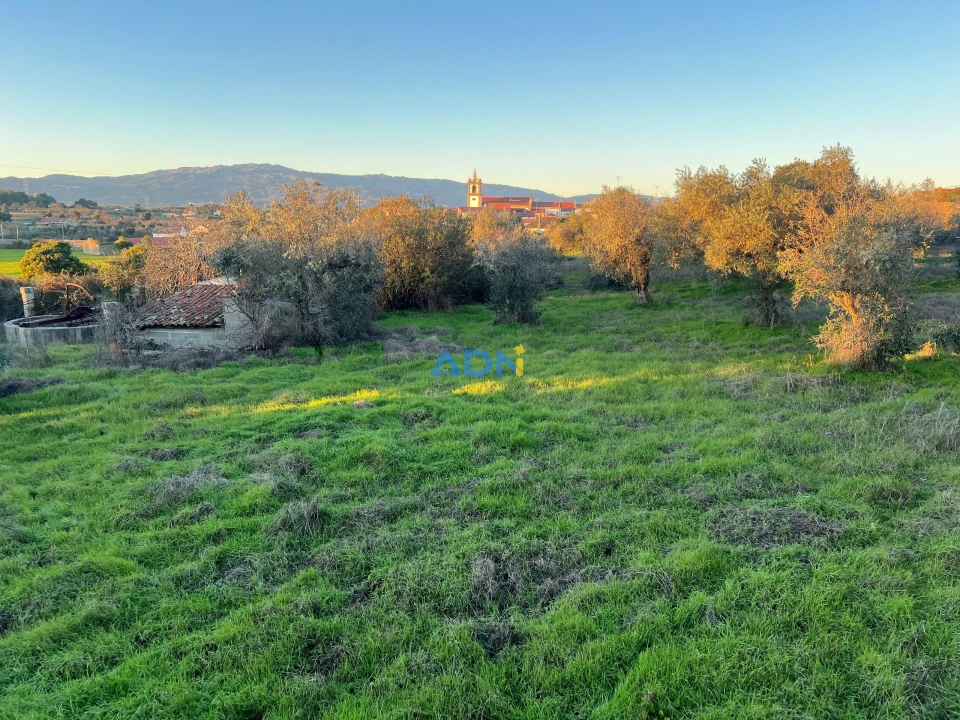 Quinta para Venda em Lardosa Foto 1