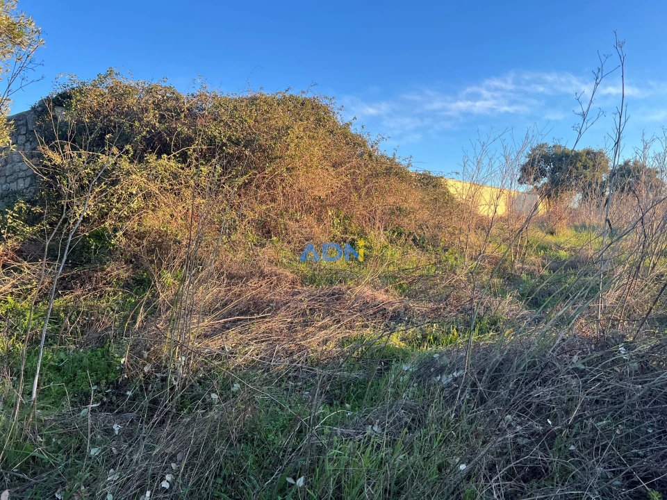 Quinta para Venda em Lardosa Foto 46