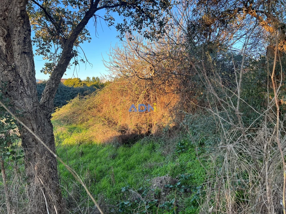 Quinta para Venda em Lardosa Foto 44