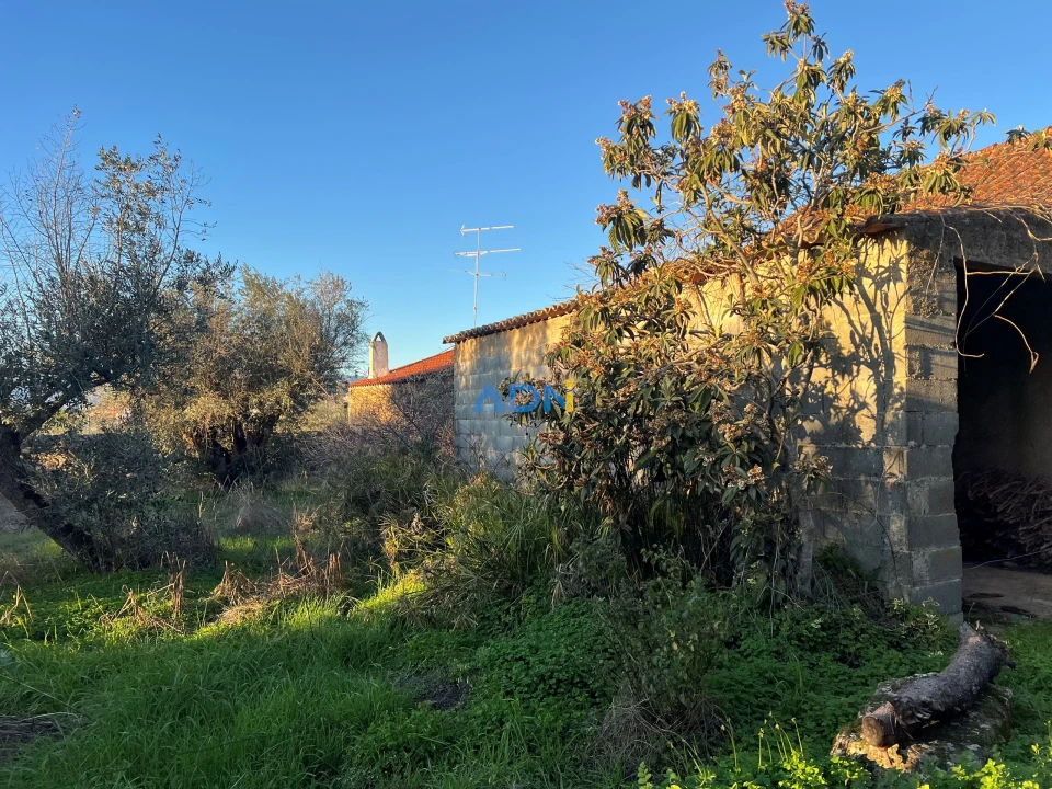 Quinta para Venda em Lardosa Foto 15