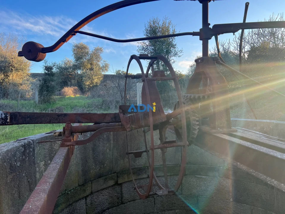 Quinta para Venda em Lardosa Foto 3