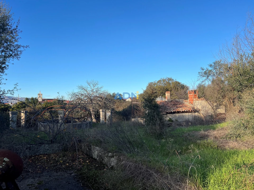 Quinta para Venda em Lardosa Foto 6