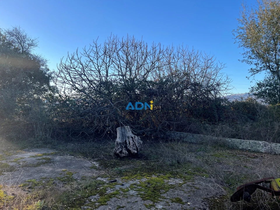 Quinta para Venda em Lardosa Foto 8