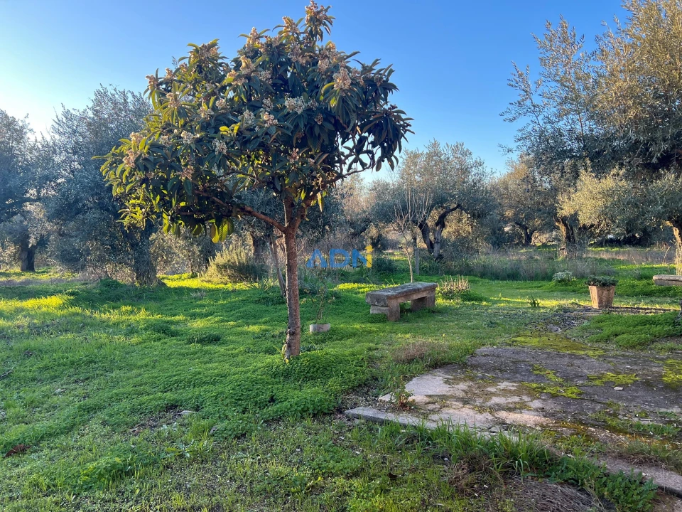 Quinta para Venda em Lardosa Foto 9