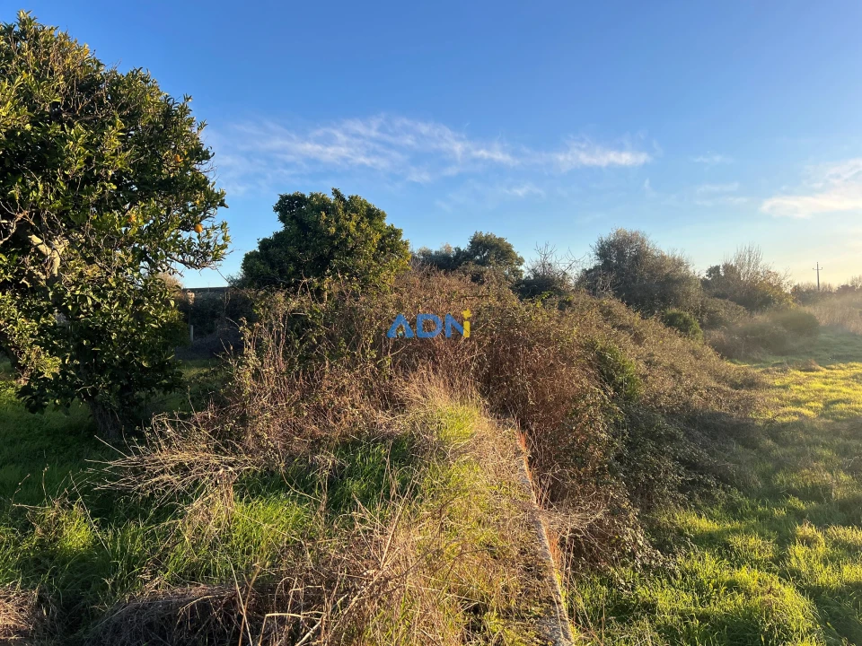 Quinta para Venda em Lardosa Foto 42