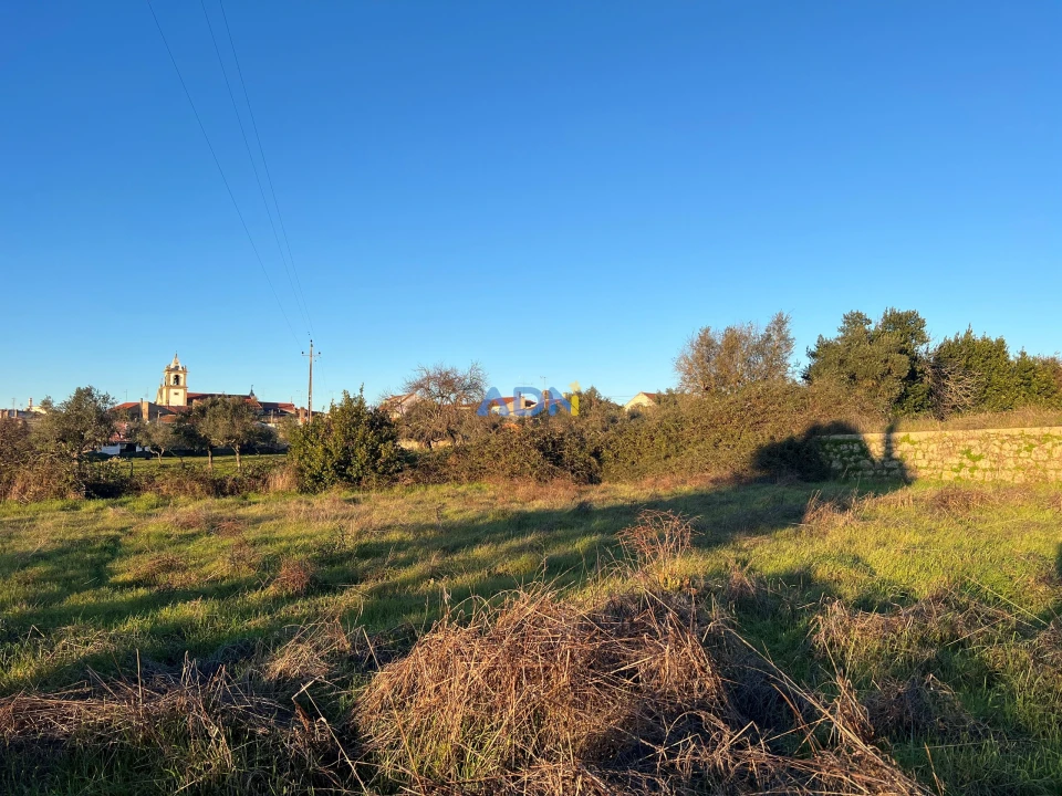 Quinta para Venda em Lardosa Foto 58