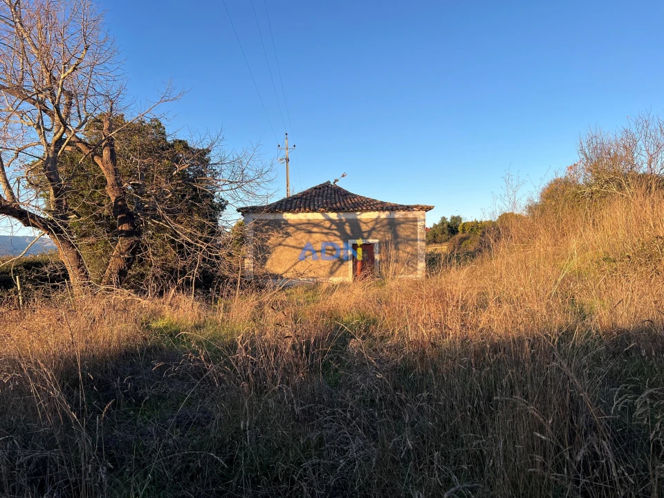 Quinta para Venda em Lardosa Foto 53