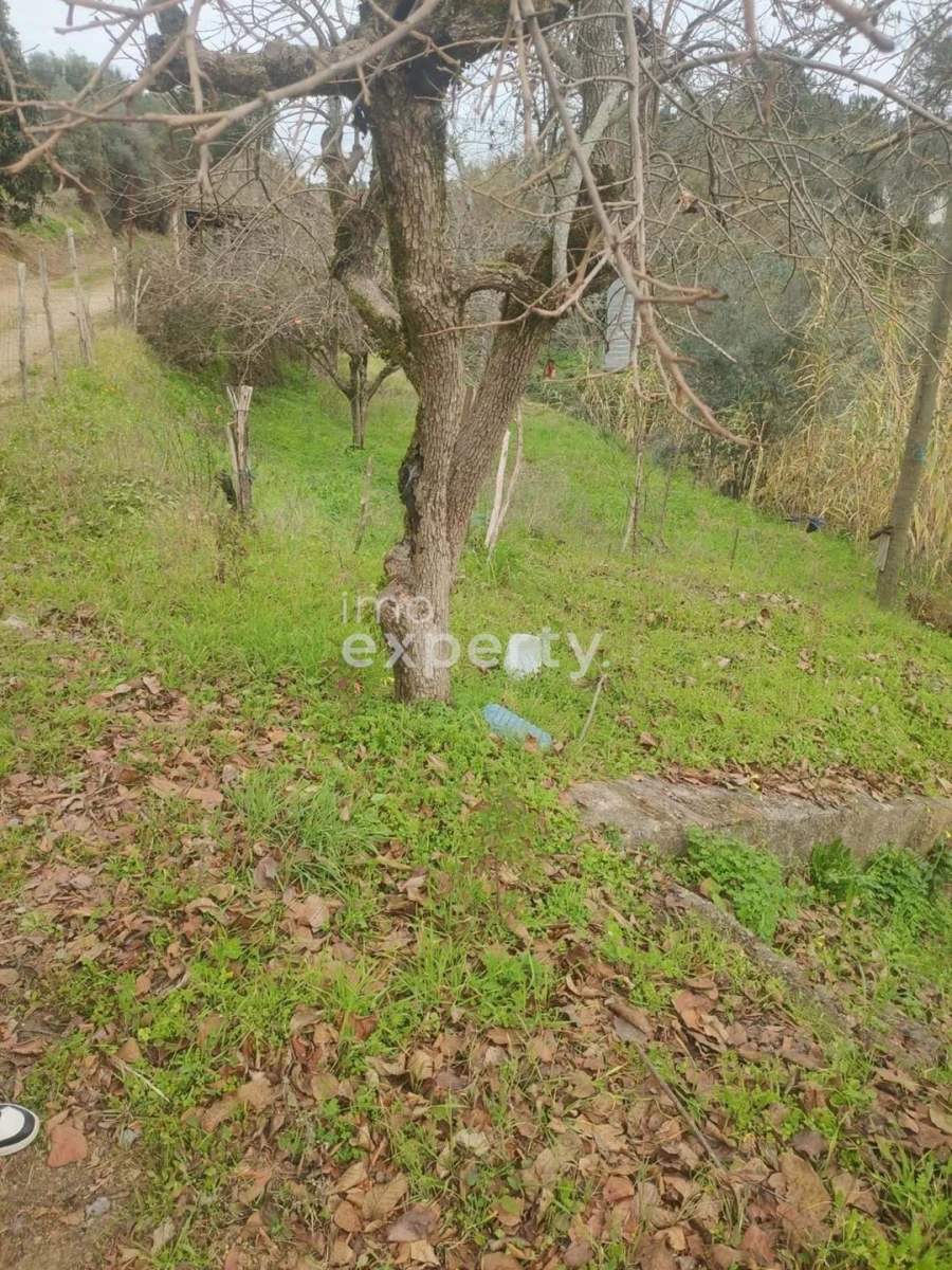 Moradia T3 para Venda em Sardoal Foto 12