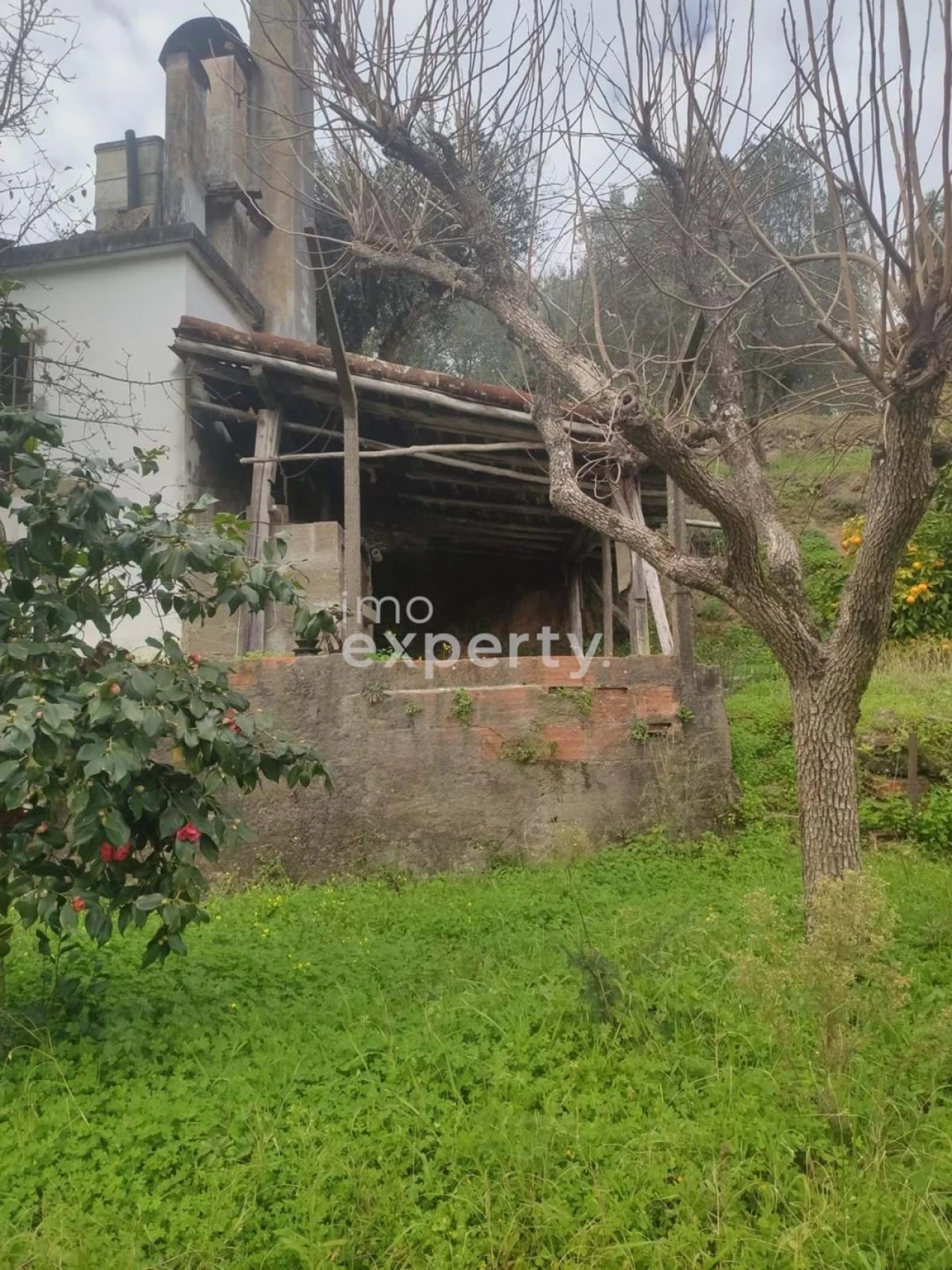 Moradia T3 para Venda em Sardoal Foto 15