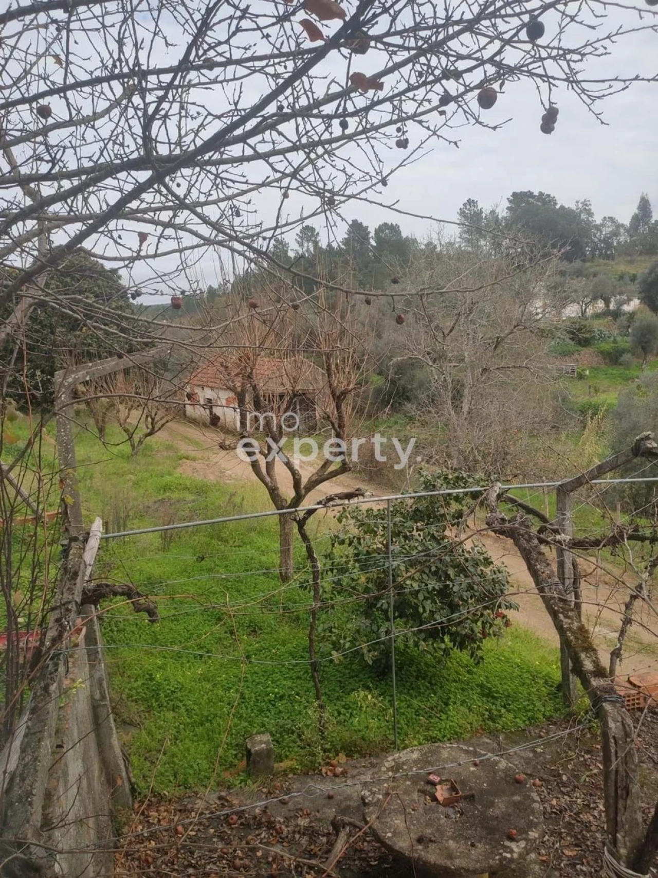 Moradia T3 para Venda em Sardoal Foto 3