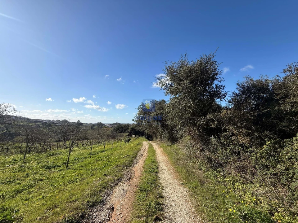 Quinta T4 para Venda em Usseira Foto 30