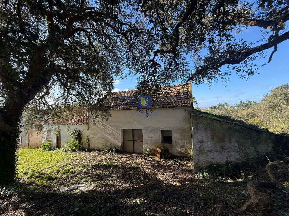 Quinta T4 para Venda em Usseira Foto 3