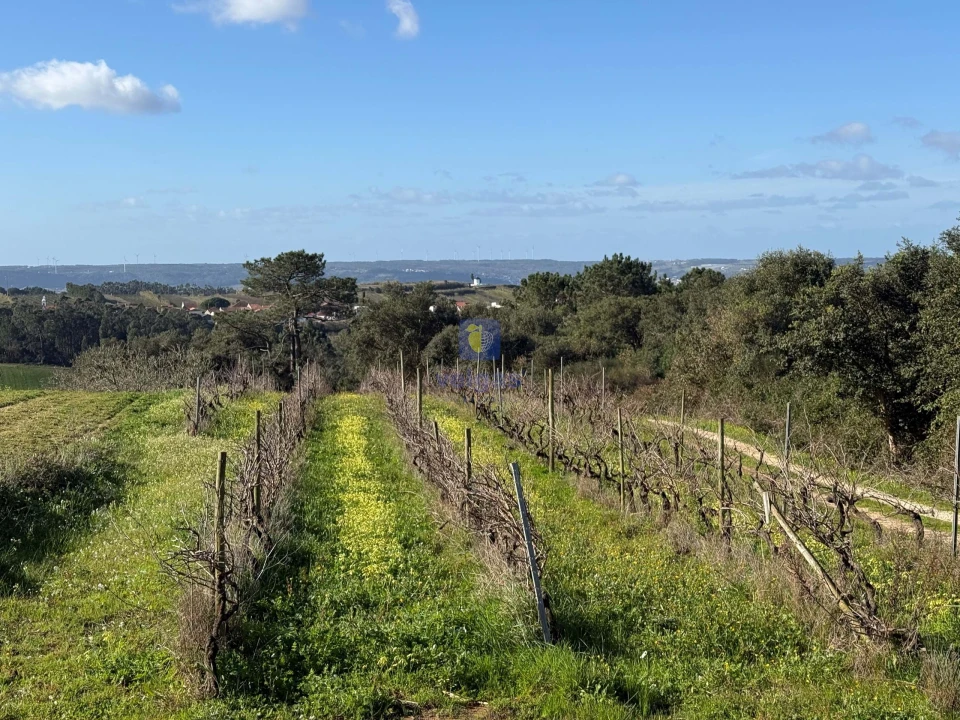 Quinta T4 para Venda em Usseira Foto 7