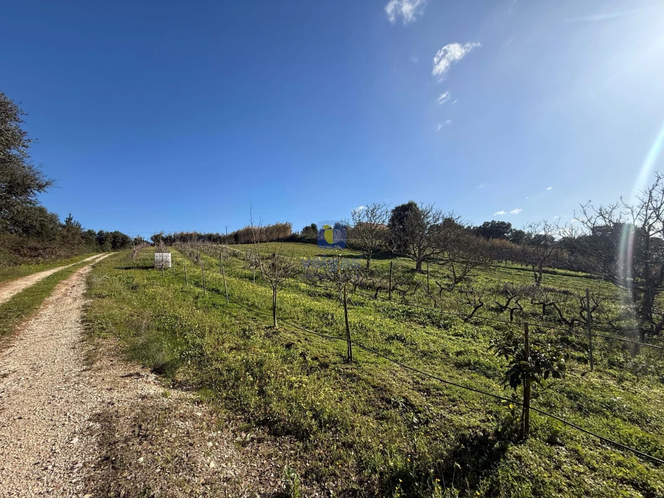 Quinta T4 para Venda em Usseira Foto 18