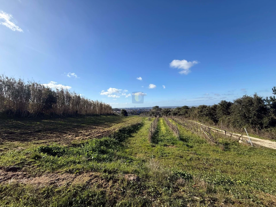 Quinta T4 para Venda em Usseira Foto 14