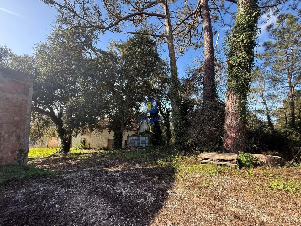 Quinta T4 para Venda em Usseira Foto 10