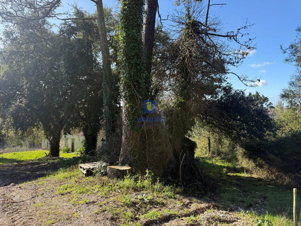 Quinta T4 para Venda em Usseira Foto 23