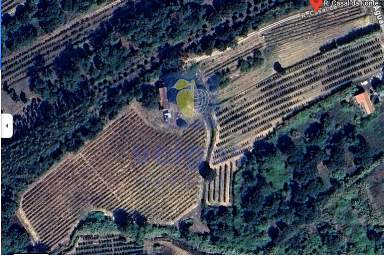 Quinta T4 para Venda em Usseira Foto 33