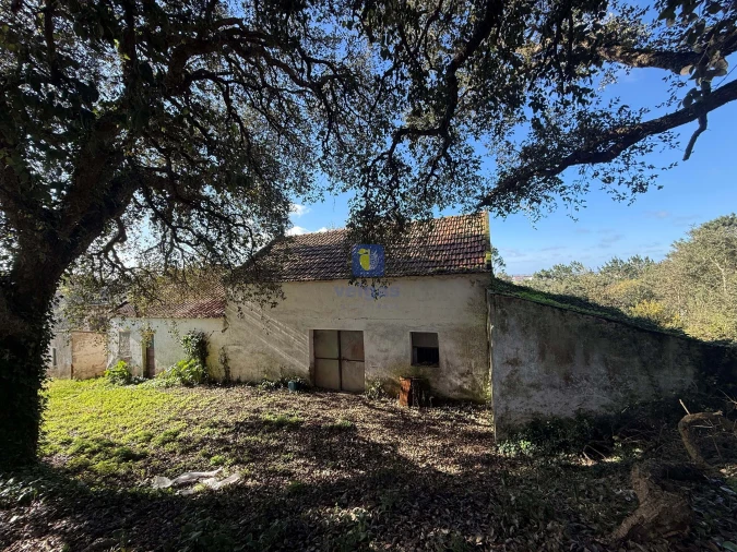 Quinta T4 para Venda em Usseira Foto 3