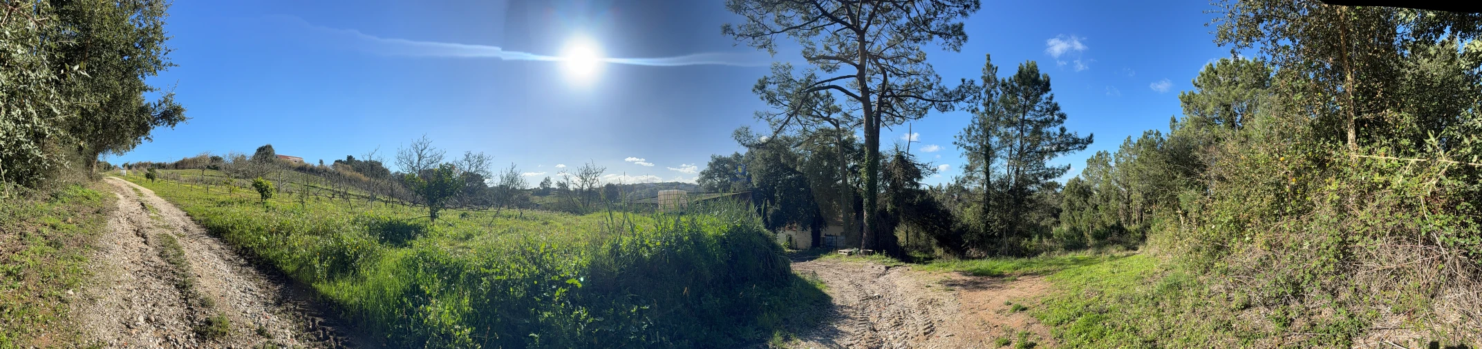 Quinta T4 para Venda em Usseira Foto 39