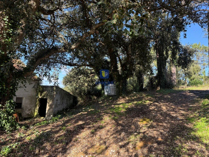 Quinta T4 para Venda em Usseira Foto 16