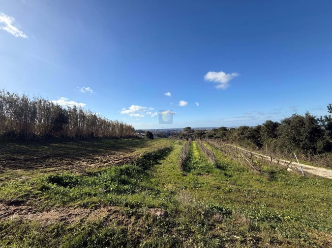 Quinta T4 para Venda em Usseira Foto 14