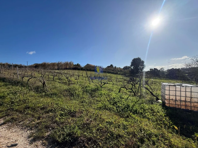 Quinta T4 para Venda em Usseira Foto 28