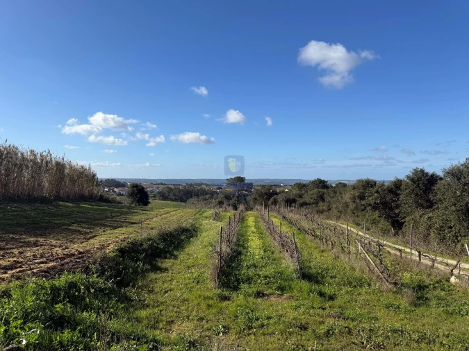 Quinta T4 para Venda em Usseira Foto 6