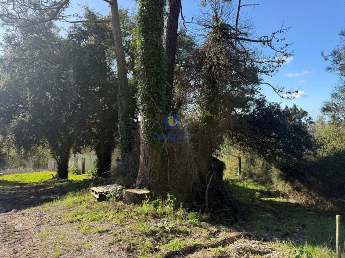 Quinta T4 para Venda em Usseira Foto 23