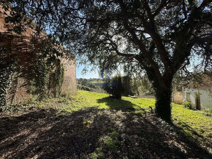 Quinta T4 para Venda em Usseira Foto 13