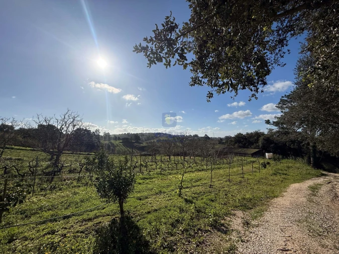 Quinta T4 para Venda em Usseira Foto 15