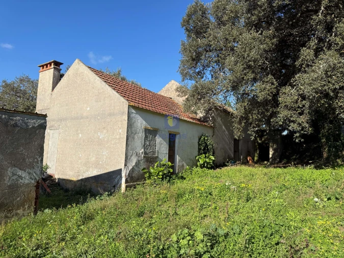 Quinta T4 para Venda em Usseira Foto 17