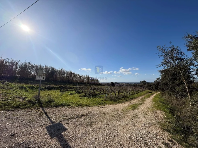 Quinta T4 para Venda em Usseira Foto 35