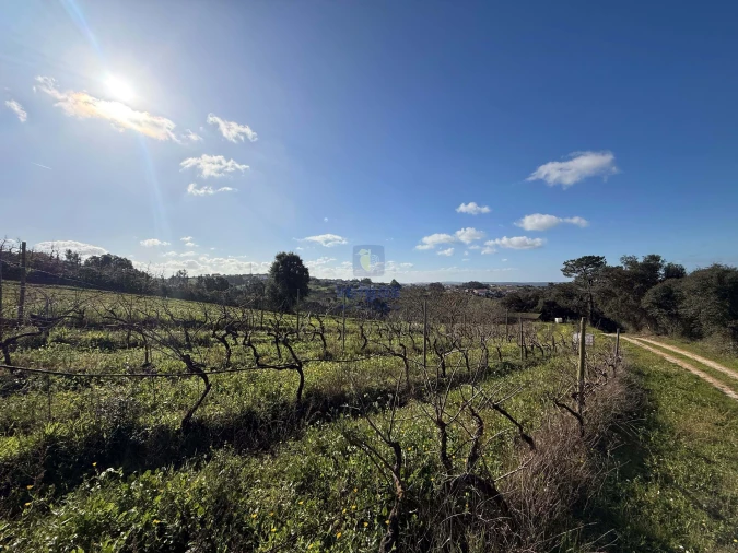 Quinta T4 para Venda em Usseira Foto 11