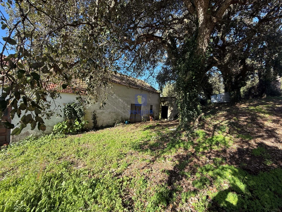 Quinta T4 para Venda em Usseira Foto 21