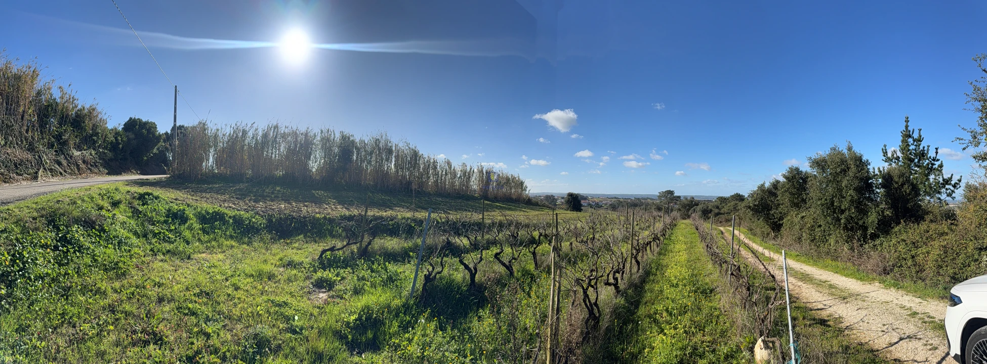 Quinta T4 para Venda em Usseira Foto 40