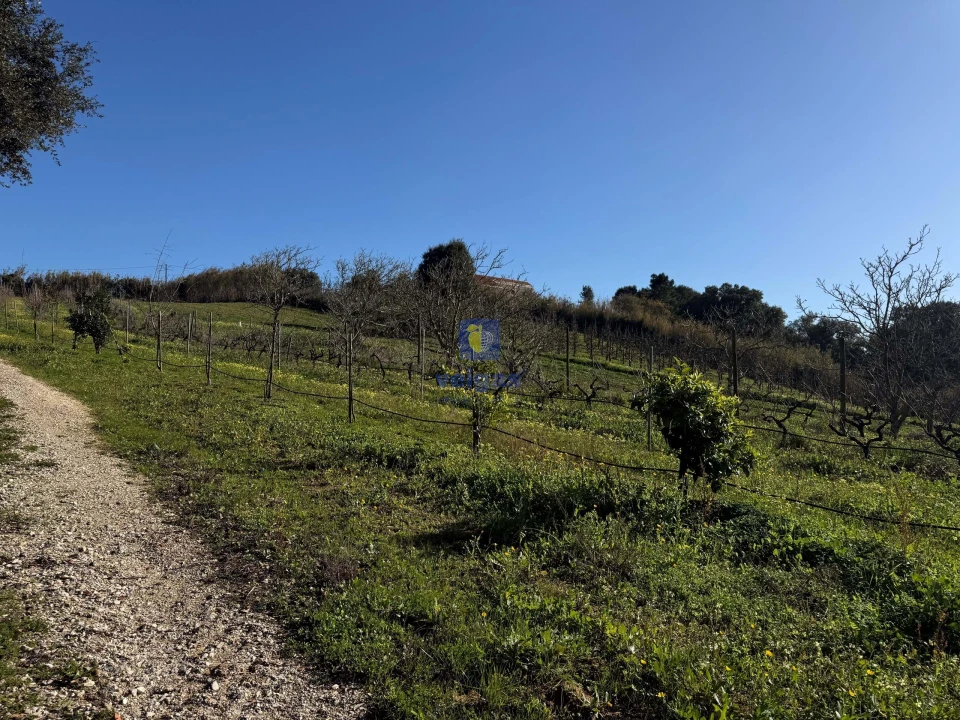 Quinta T4 para Venda em Usseira Foto 26