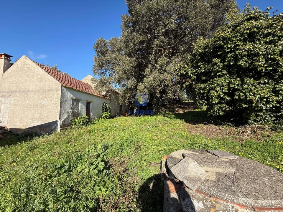 Quinta T4 para Venda em Usseira Foto 19