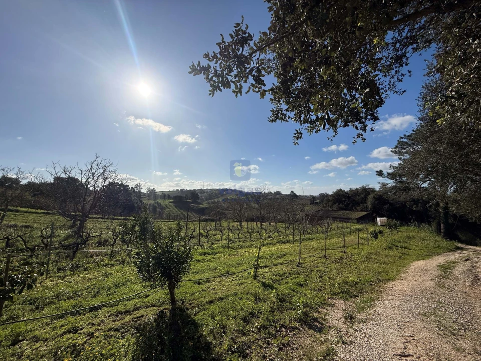 Quinta T4 para Venda em Usseira Foto 15