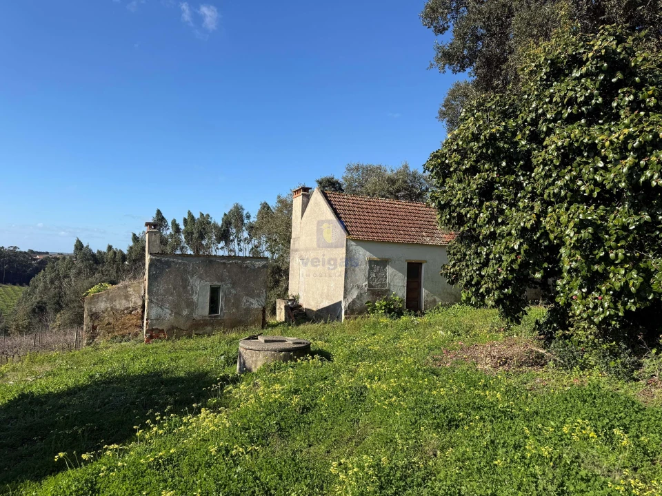 Quinta T4 para Venda em Usseira Foto 4